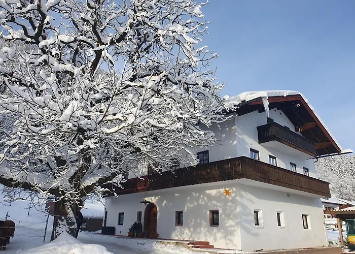 Winkler Apartment